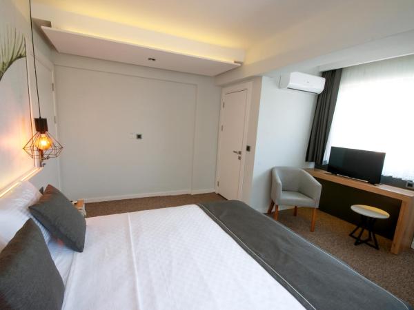 Luis Otel : photo 3 de la chambre chambre double ou lits jumeaux standard