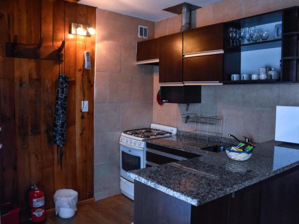 Cabañas Villa Pañil : photo 8 de la chambre appartement 2 chambres