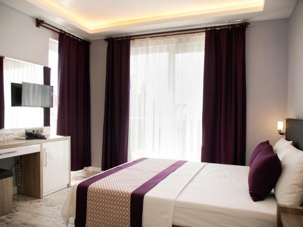 AF-RA Hotel : photo 4 de la chambre chambre double standard