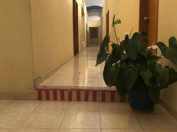 Hotel El Pacifico : photo 2 de la chambre chambre simple