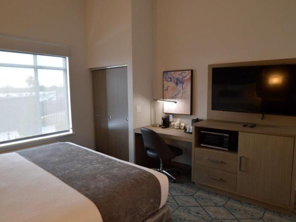 Best Western Plus Executive Residency Oklahoma City I-35 : photo 3 de la chambre chambre lit king-size avec douche accessible en fauteuil roulant