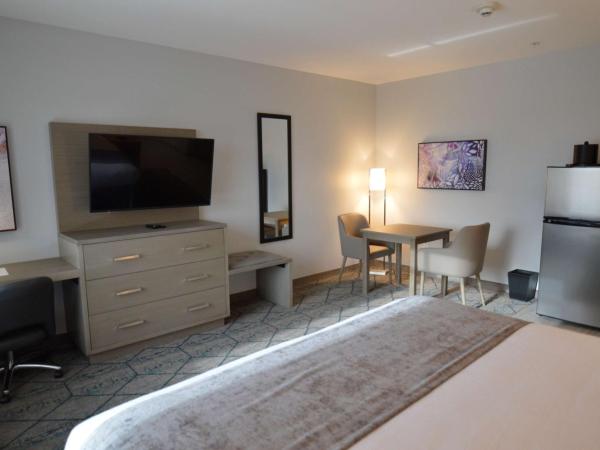 Best Western Plus Executive Residency Oklahoma City I-35 : photo 4 de la chambre suite lit king-size - accessible aux personnes à mobilité réduite