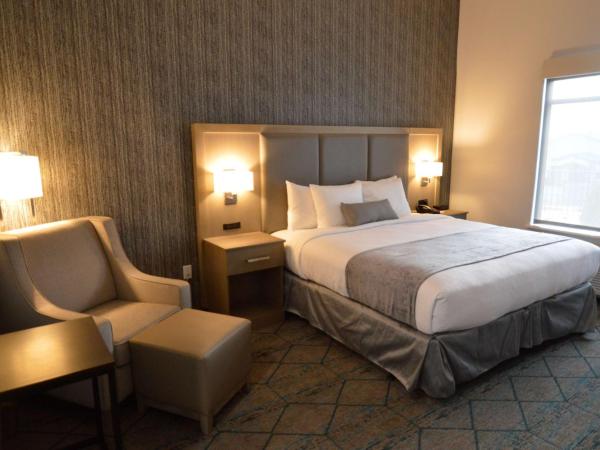 Best Western Plus Executive Residency Oklahoma City I-35 : photo 2 de la chambre chambre lit king-size avec douche accessible en fauteuil roulant