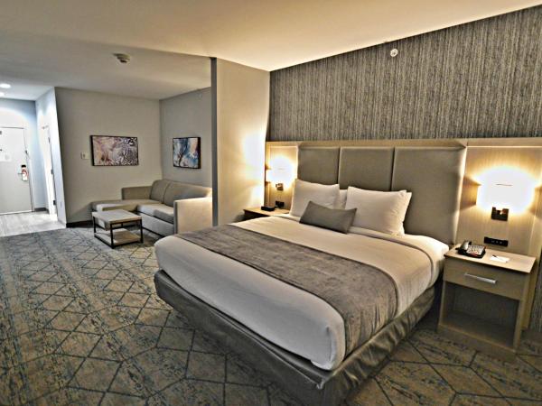Best Western Plus Executive Residency Oklahoma City I-35 : photo 3 de la chambre suite lit king-size avec canapé-lit