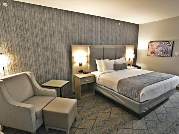 Best Western Plus Executive Residency Oklahoma City I-35 : photo 4 de la chambre chambre lit king-size