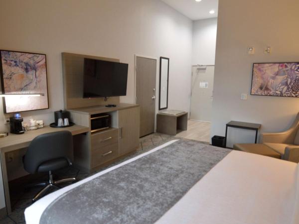 Best Western Plus Executive Residency Oklahoma City I-35 : photo 4 de la chambre chambre lit king-size avec douche accessible en fauteuil roulant