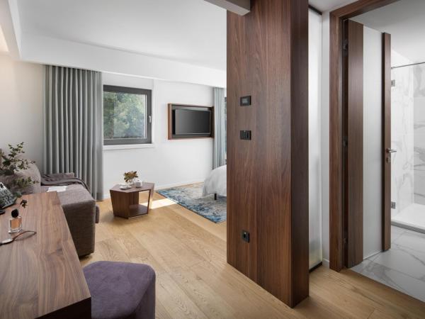 Hotel Milan : photo 5 de la chambre chambre lit king-size supérieure