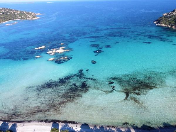 Residence Bellavista à Santa Giulia, proche de la plage et vue mer : photo 4 de la chambre villa 1 chambre avec vue sur la mer