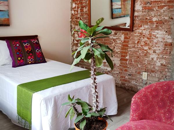 Habitaciones Coyoacan (UNAM) : photo 5 de la chambre chambre lits jumeaux avec salle de bains privative