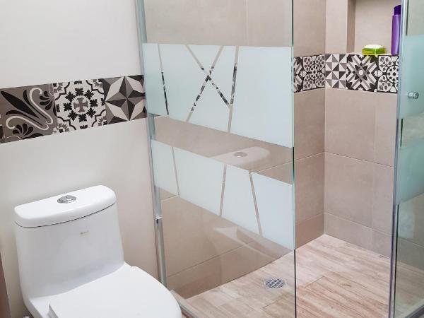 Habitaciones Coyoacan (UNAM) : photo 5 de la chambre chambre lit king-size deluxe