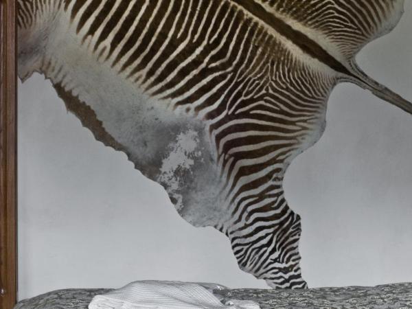 Zamek Zabreh : photo 1 de la chambre appartement exécutif