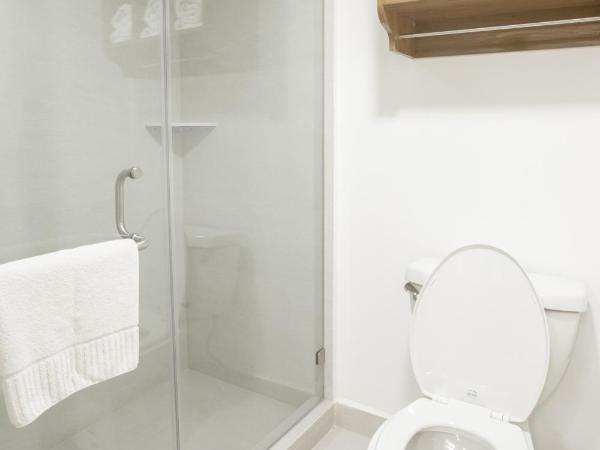 Antaris Cintermex : photo 5 de la chambre luxor double