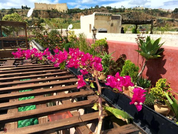 Riad Toyour- Riad of birds : photo 9 de la chambre suite l'effraie