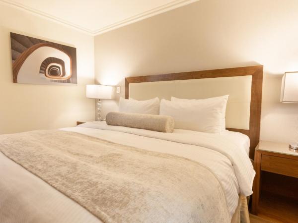Antaris Cintermex : photo 2 de la chambre suite 1 chambre lit king-size avec canapé-lit
