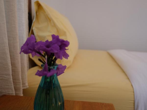 Paiyannoi Guesthome : photo 9 de la chambre chambre lits jumeaux standard