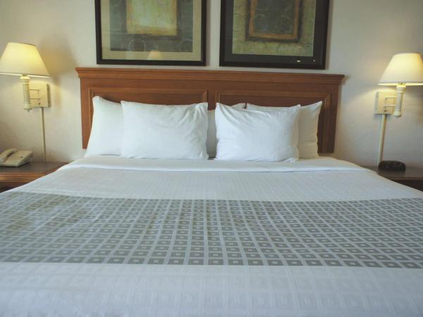 La Quinta Inn by Wyndham Albuquerque Airport : photo 1 de la chambre chambre lit king-size