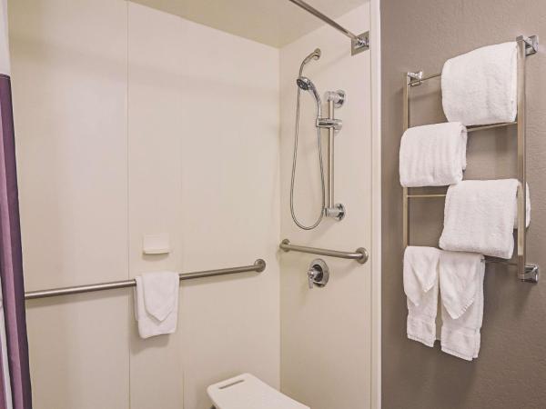 La Quinta by Wyndham Denver Airport DIA : photo 3 de la chambre chambre lit king-size - accessible aux personnes à mobilité réduite