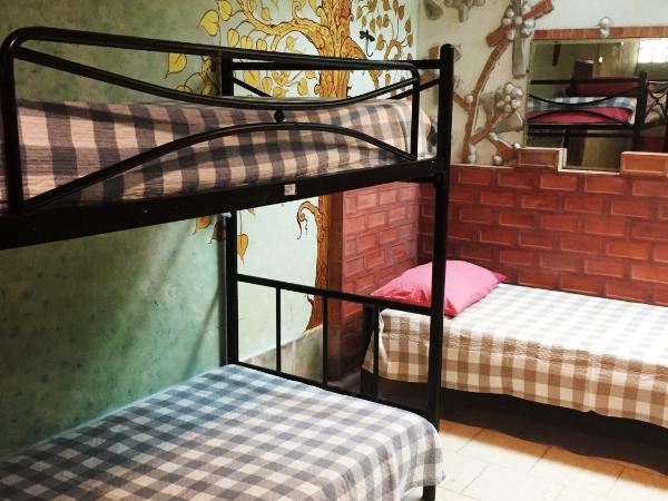 Shanti Lodge : photo 3 de la chambre lit dans dortoir mixte de 8 lits 