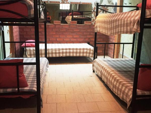 Shanti Lodge : photo 9 de la chambre lit dans dortoir mixte de 8 lits 