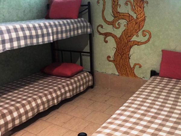 Shanti Lodge : photo 4 de la chambre lit dans dortoir mixte de 8 lits 