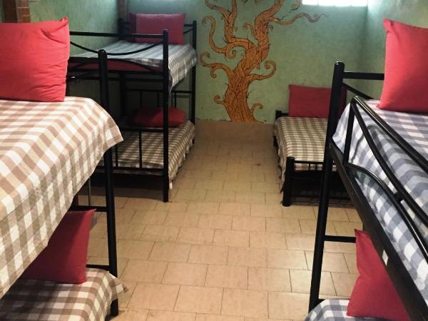 Shanti Lodge : photo 10 de la chambre lit dans dortoir mixte de 8 lits 