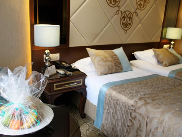 The Parma Hotel Downtown : photo 3 de la chambre chambre double supérieure