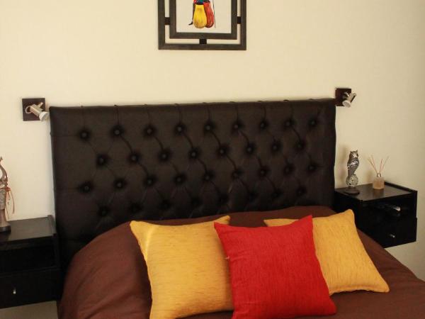 Villa Cabrera Apart and Suites : photo 2 de la chambre studio