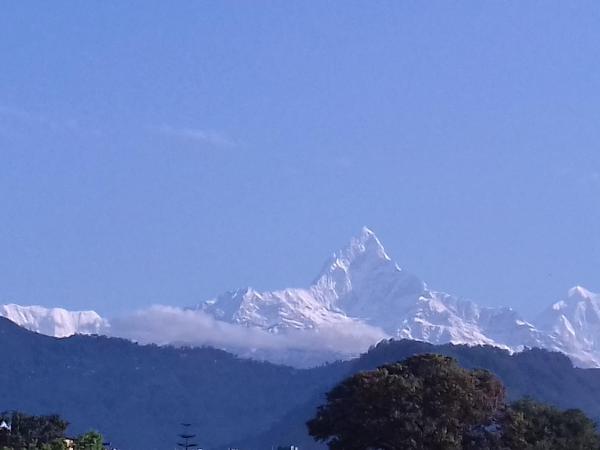 Sunset guest house : photo 3 de la chambre appartement 1 chambre