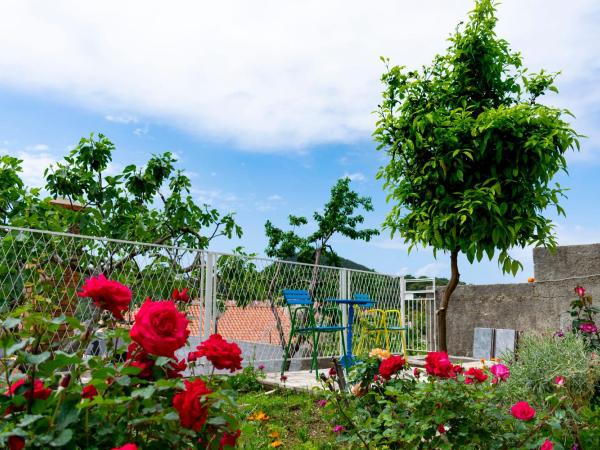 Dino and Jele Apartments : photo 5 de la chambre appartement 1 chambre avec terrasse (2 adultes)