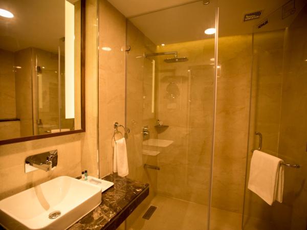 S Hotels Chennai : photo 8 de la chambre studio