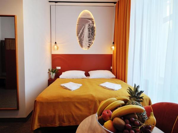 Dom Zdrojowy Amber : photo 2 de la chambre chambre double ou lits jumeaux standard