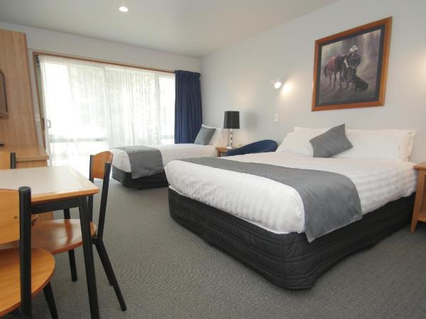ASURE Christchurch Classic Motel & Apartments : photo 3 de la chambre studio lits jumeaux