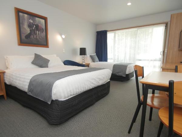 ASURE Christchurch Classic Motel & Apartments : photo 1 de la chambre studio lits jumeaux