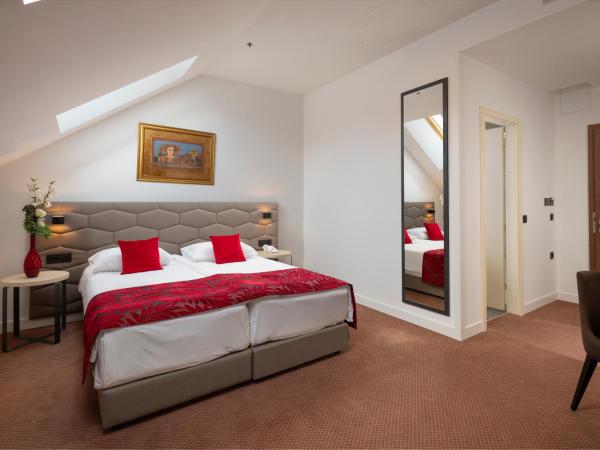 Hotel PARK 45 : photo 2 de la chambre grande chambre double ou lits jumeaux