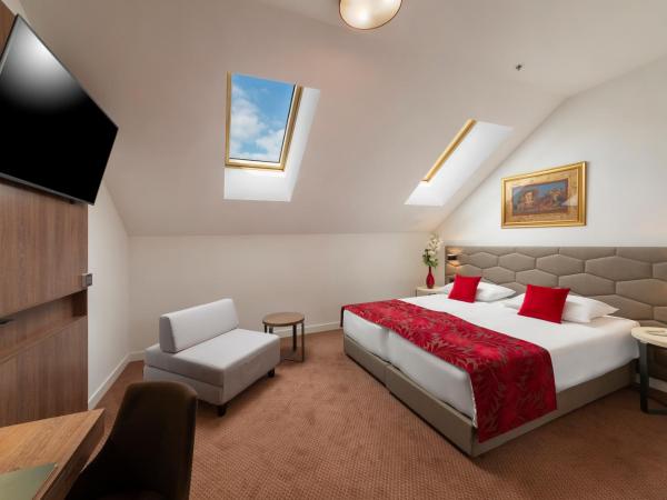 Hotel PARK 45 : photo 2 de la chambre grande chambre double ou lits jumeaux