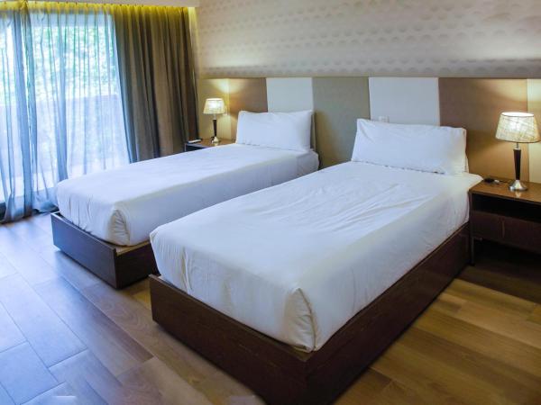 Avellaneda Aparts & Suites : photo 3 de la chambre chambre double ou lits jumeaux supérieure