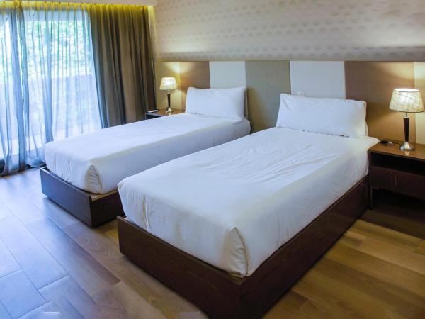 Avellaneda Aparts & Suites : photo 5 de la chambre chambre double ou lits jumeaux supérieure