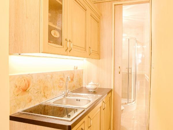 Aparthotel Grodzka 21 : photo 4 de la chambre apartament z aneksem kuchennym grodzka 23/3