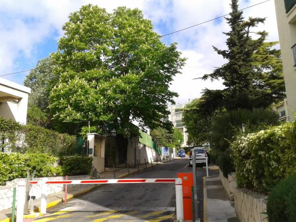 Chambre d'hôte Zen Chez Philippe Parking gratuit : photo 1 de la chambre appartement 1 chambre