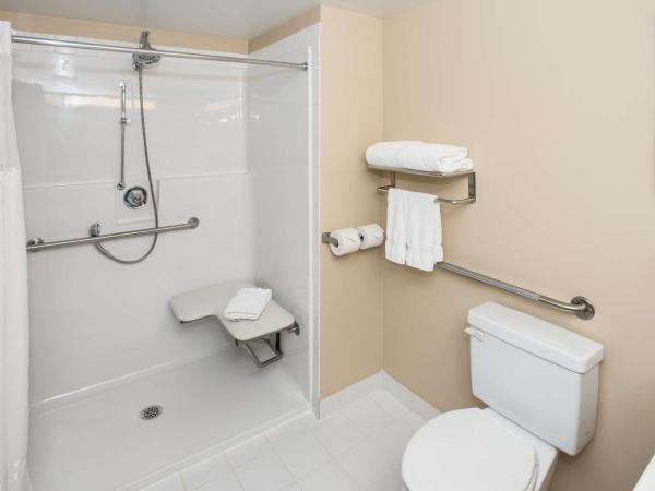 Best Western Plus Winnipeg Airport Hotel : photo 2 de la chambre chambre lit queen-size - accessible aux personnes à mobilité réduite
