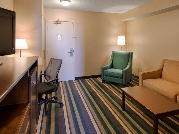 Best Western Plus Winnipeg Airport Hotel : photo 2 de la chambre suite lit king-size