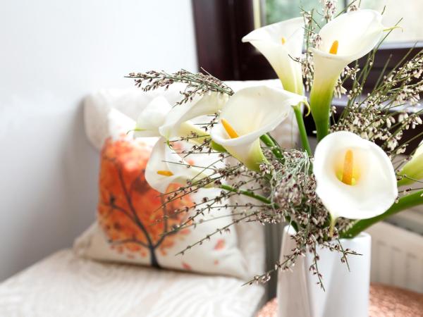 JustB Deva Edinburgh : photo 10 de la chambre chambre deluxe (2 adultes + 1 enfant)