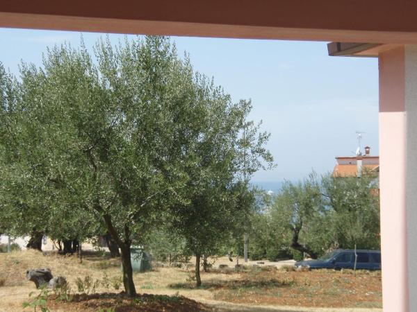 Guest House Zohil : photo 4 de la chambre appartement 1 chambre avec terrasse - vue sur mer