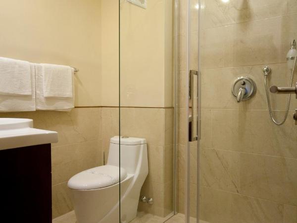 Gold Hotel Budapest : photo 5 de la chambre chambre simple