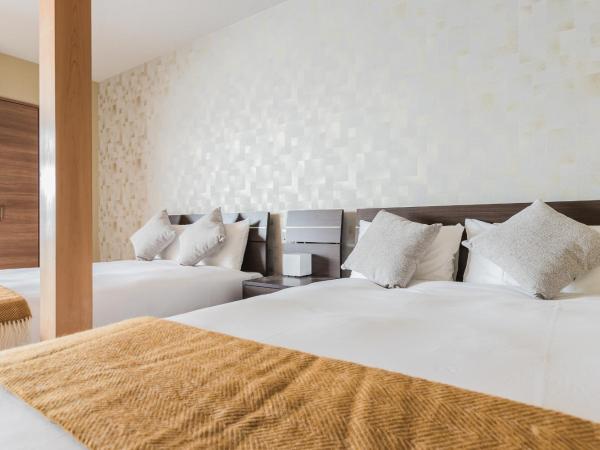 Playsis Asakusa : photo 8 de la chambre chambre familiale supérieure