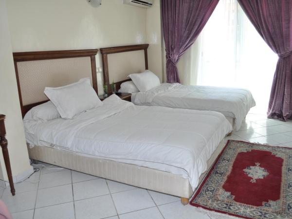 HOTEL SALIM : photo 10 de la chambre chambre lits jumeaux - vue sur ville