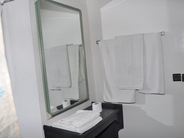 HOTEL SALIM : photo 5 de la chambre chambre lits jumeaux - vue sur ville