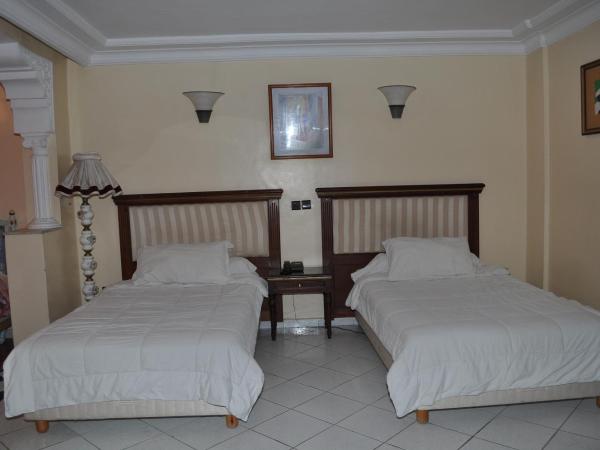 HOTEL SALIM : photo 7 de la chambre chambre lits jumeaux - vue sur ville