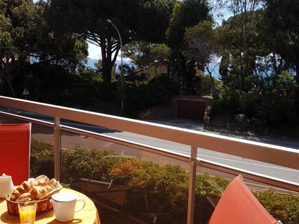 Hôtel les Eucalyptus : photo 4 de la chambre chambre double ou lits jumeaux avec terrasse