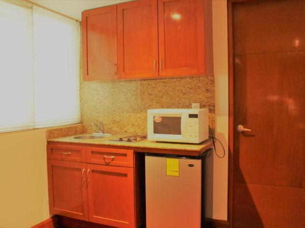 Condesa Suites : photo 1 de la chambre loft